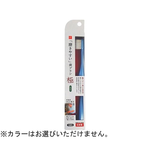 磨きやすい歯ブラシ極 ふつう LT−51