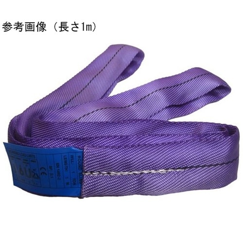 CEラウンドスリングN型 使用荷重100