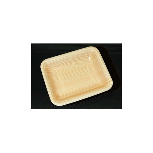 トレーCN15−12E 木曽内 3000