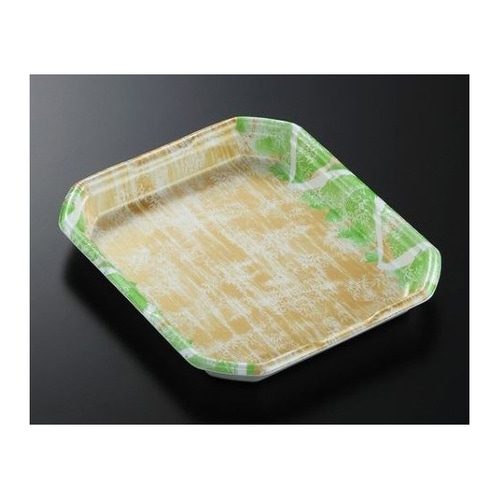 トレー CX20−24A 四織GN内 身