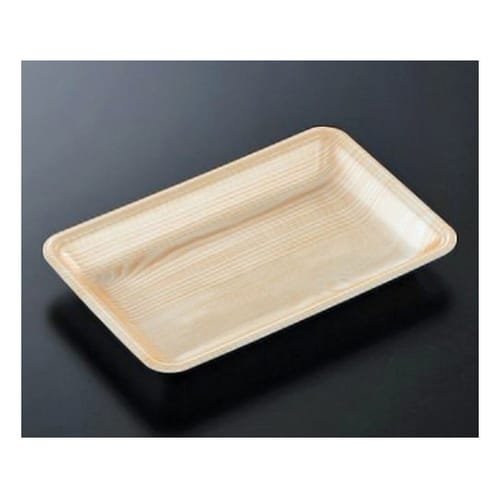 トレーCN25−16F 木曽内 (L)