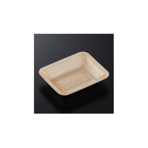 トレーCN15−12F 木曽内 (L)