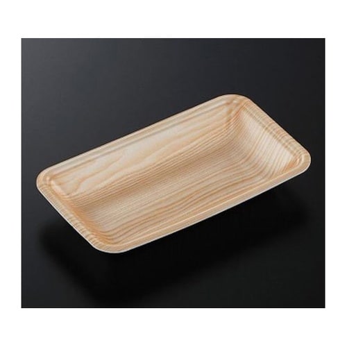 トレーCN20−11F 木曽内(L) 2