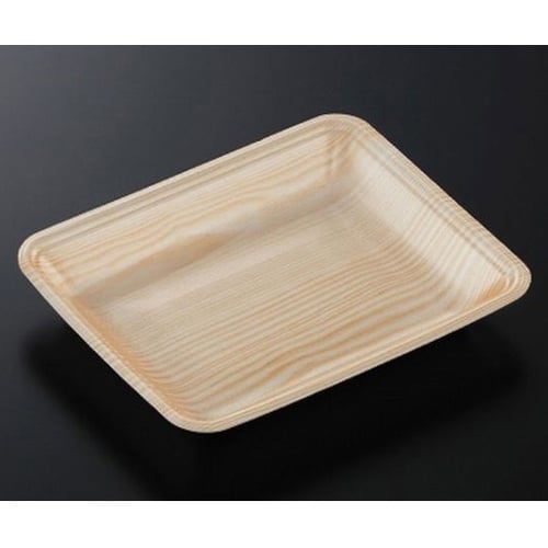 トレーCN20−16F 木曽内(L) 1