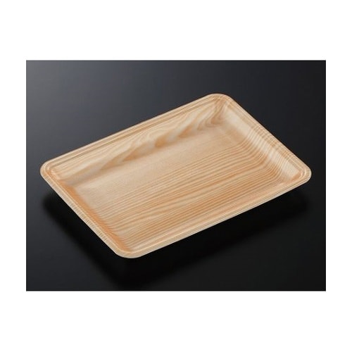 トレーCN25−18EE 木曽内 (L)