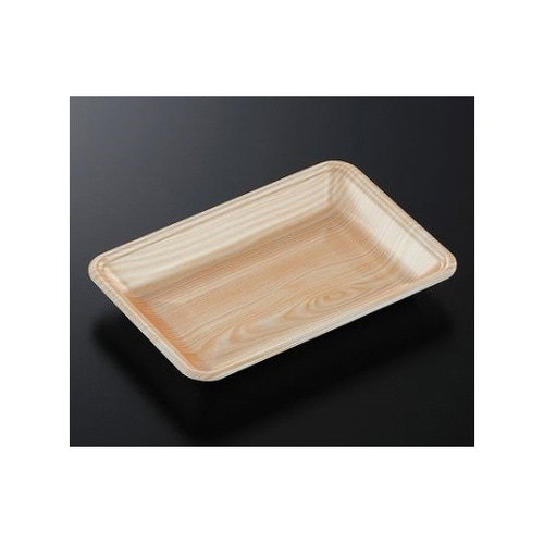 トレーCN22−15F 木曽内 (L)