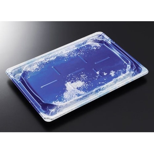 刺身・鮮魚容器 BCF宝台 25−17