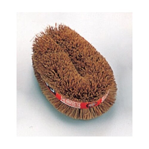 鬼タワシ(パーム)中