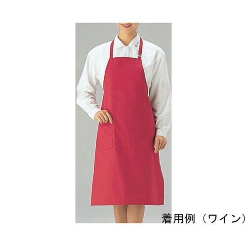 エプロン ブラック CT2503−9 ブ