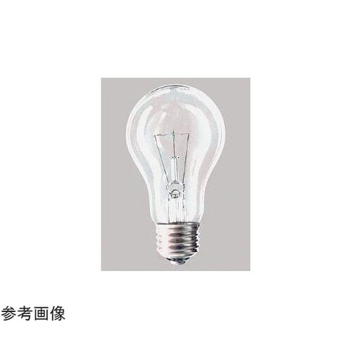 一般球 100V 40W クリヤー LC