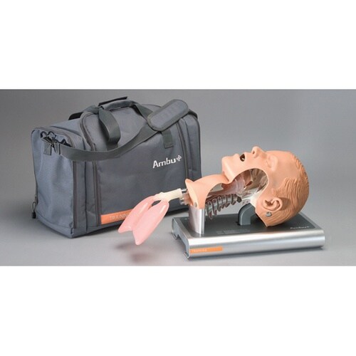 気道管理練習モデル 10208160