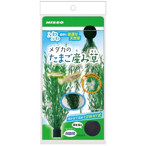 メダカのたまご産み草 NAP−590