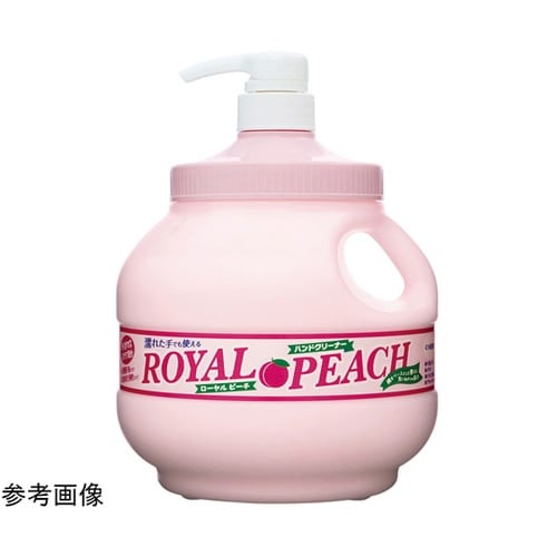 RPCH バックインボックス S−268