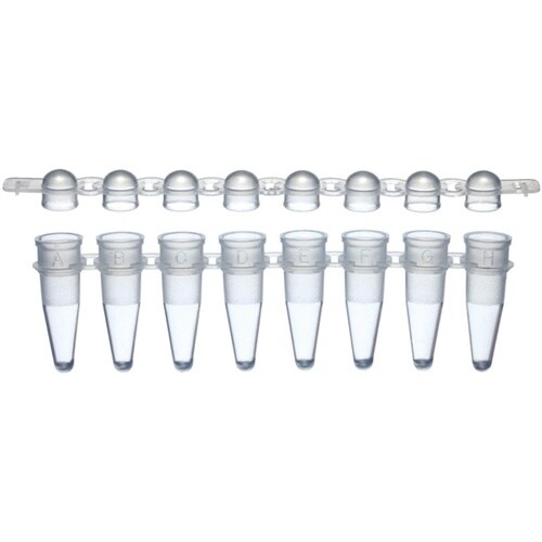 0.2mL PCR8連チューブ+ドームキ