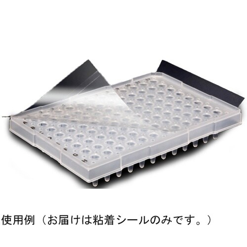 PCR 粘着シール 135×80mm 1