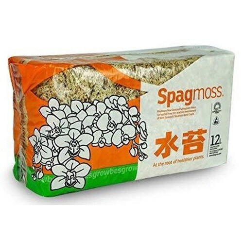 ニュージーランド産水苔 150g