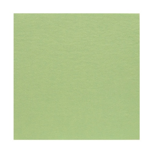 サンフェルト フェルト 40cm角 5枚