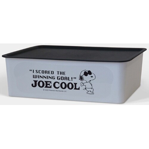 スヌーピー コレクトBОX(M)GR
