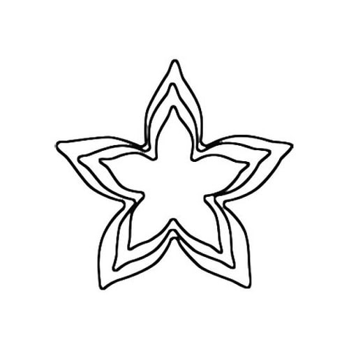 たかもりの生抜 ペンタス 小 07815