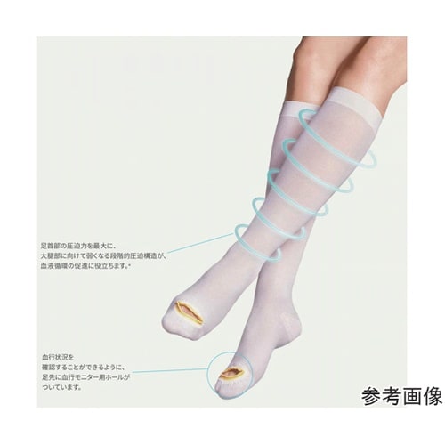 コンプリネットプロ ひざ下 L 1箱(1