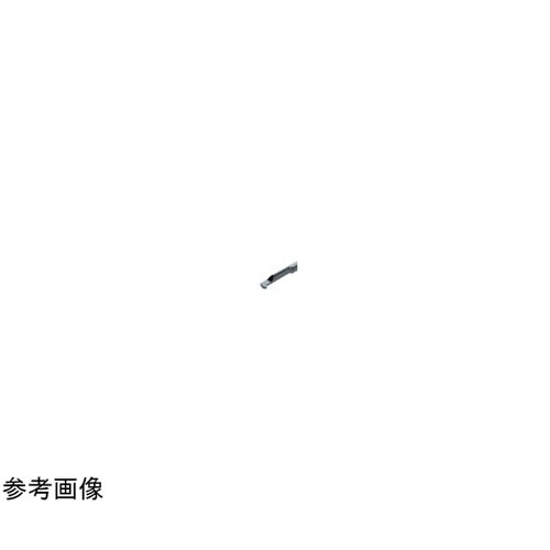 チップ 超硬 ネジ用 EZTR03002