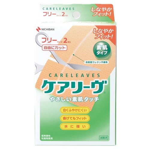 ケアリーヴ CL2F