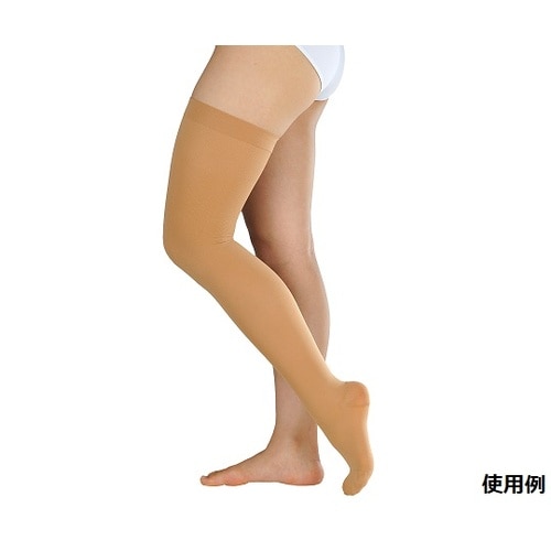 アンシルク・2 ストッキング 18501