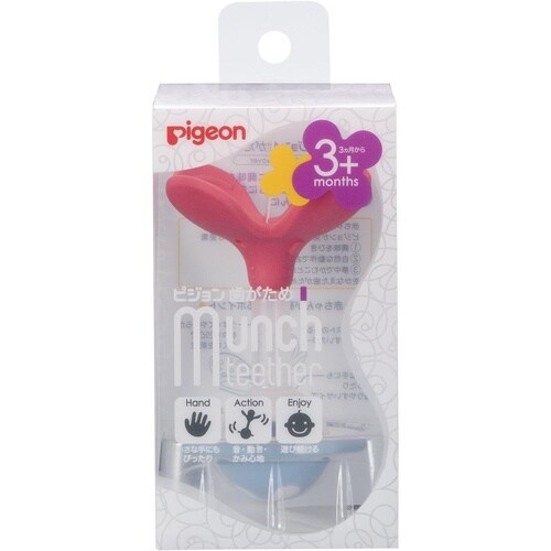 歯がため(3ヵ月以上)ぺらぺら