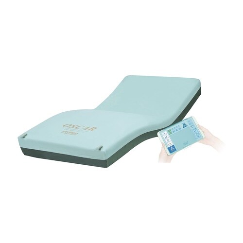 オスカー(ハイブリッド・ショート)