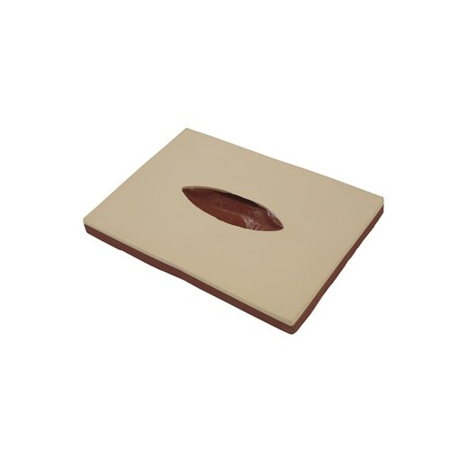 創傷管理モデル