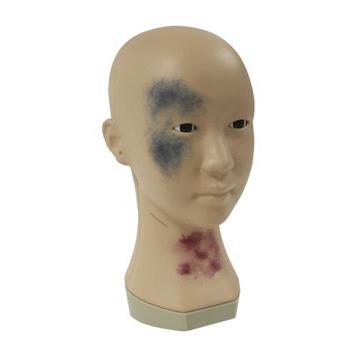 メディカルメイクモデル