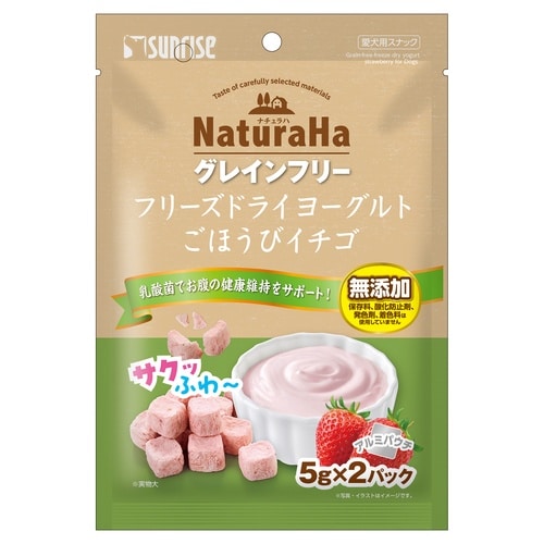 NGF FDヨーグルトイチゴ10g