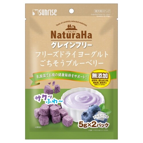 NGF FDヨーグルトブルーベリー10g