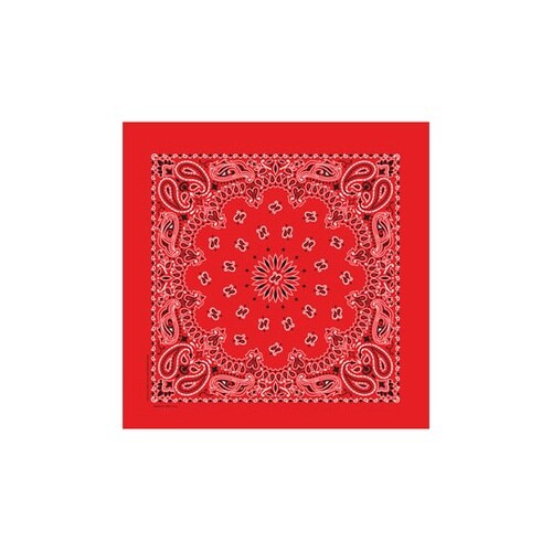 KY6000CP21 ケニヨンバンダナ