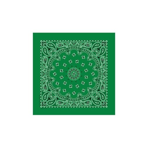 KY6000CP31 ケニヨンバンダナ