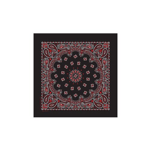 KY6000CP52 ケニヨンバンダナ