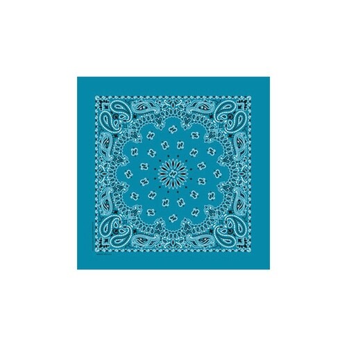 KY6000CP13 ケニヨンバンダナ