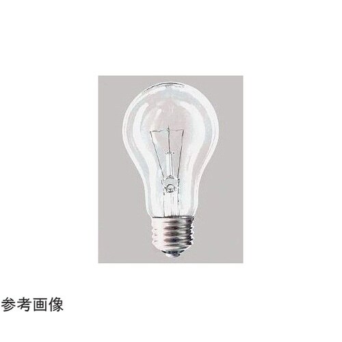 一般電球 100W クリヤー LC100