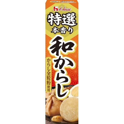 特選和からし 42g 10個×2