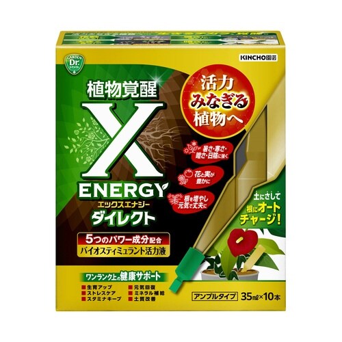 X−ENERGYダイレクト アンプルタイプ