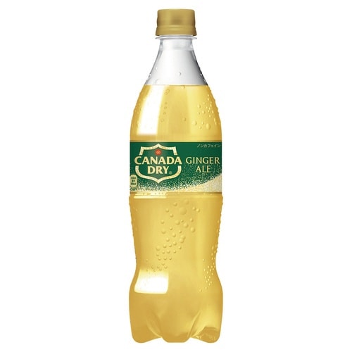 カナダドライジンジャーエール 700ml 20本