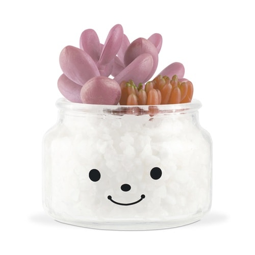 フェイクグリーン 人工観葉植物 ファミー