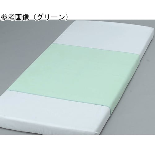 サラッキーシーツ グリーン 2222