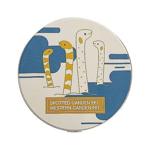 コースター 9cm 吸水 海のいきもの