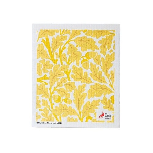 スポンジ オークツリー 吸水 エコンフォ