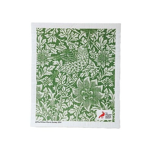 スポンジ バードアネモネ 吸水 エコンフ