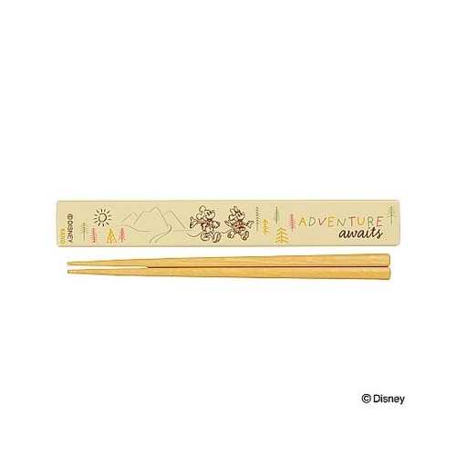 箸箱 抗菌箸18cm ミッキー ミニー