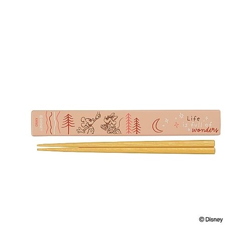 箸箱 抗菌箸18cm ミッキー ミニー
