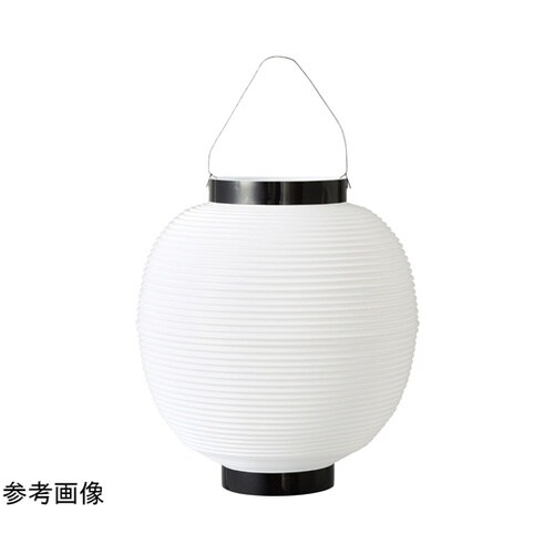 紅白ちょうちん 丸 白 55−41−3−