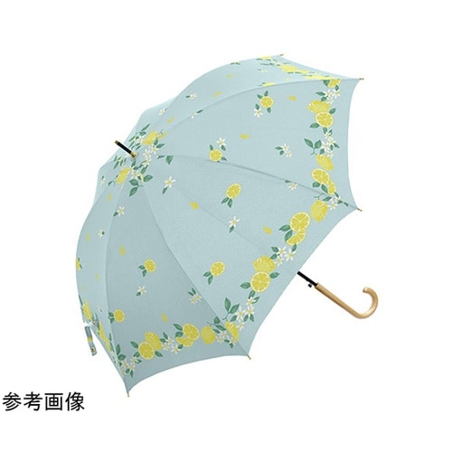 MKN シルバーコーティング雨晴兼用60